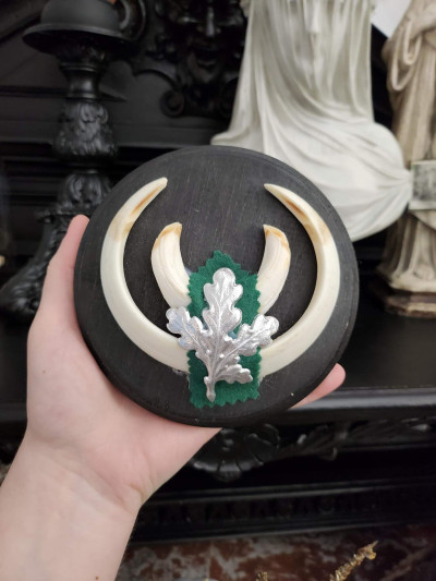 Petit trophée défenses de sanglier n°4