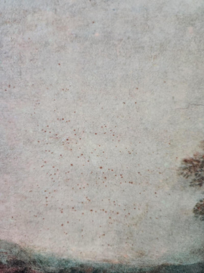 Grande reproduction Lancret encadrement doré