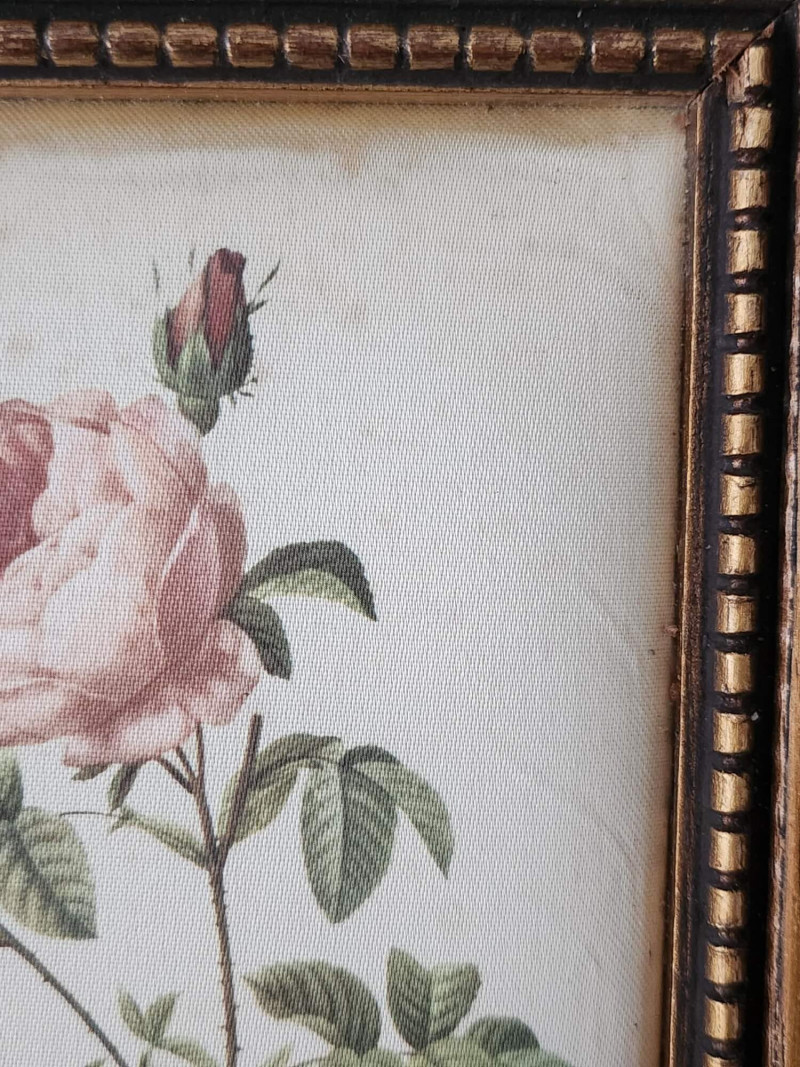 Paire de gravure "magasin des demoiselles" dans de beaux cadres doré