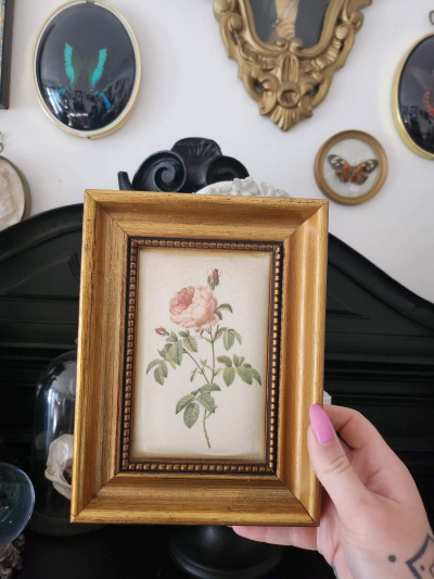 Cadre ancien doré et reproduction sur soie