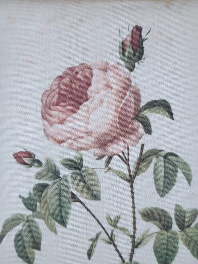 Cadre ancien doré et reproduction sur soie