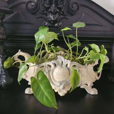 Jardinière ancienne en régule - style Rococo