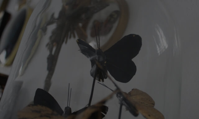 Ensemble varié d'objets décoratifs incluant des vases en céramique aux motifs uniques, des cadres photo vintage en bois sculpté, des sculptures excentriques, ainsi que des décorations murales fascinantes